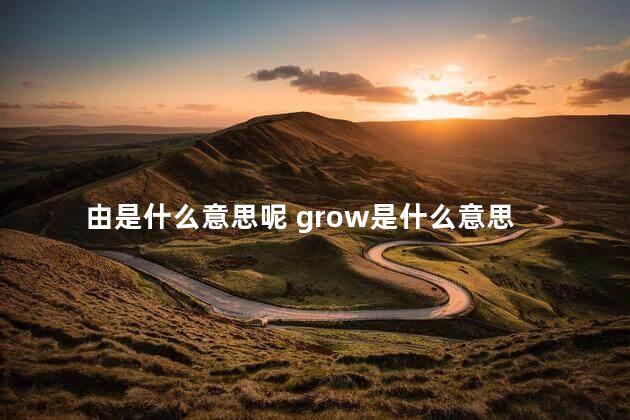 由是什么意思呢 grow是什么意思